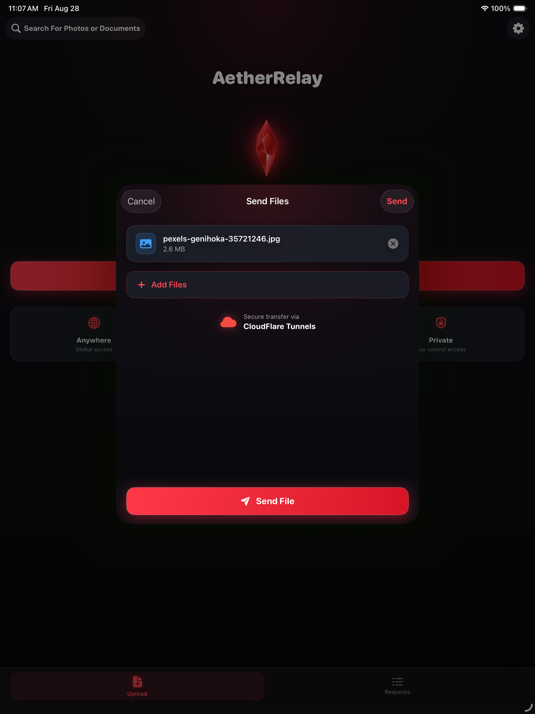 iPad Staged File Selection